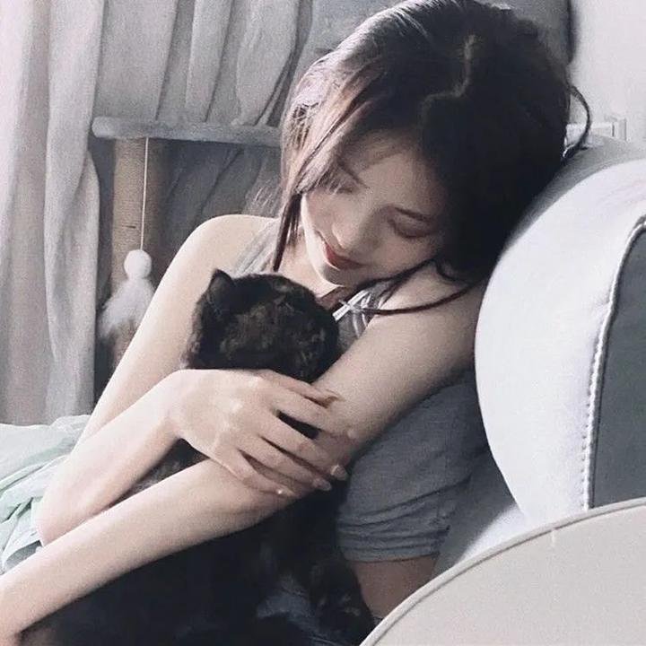 狮子彻夜未眠